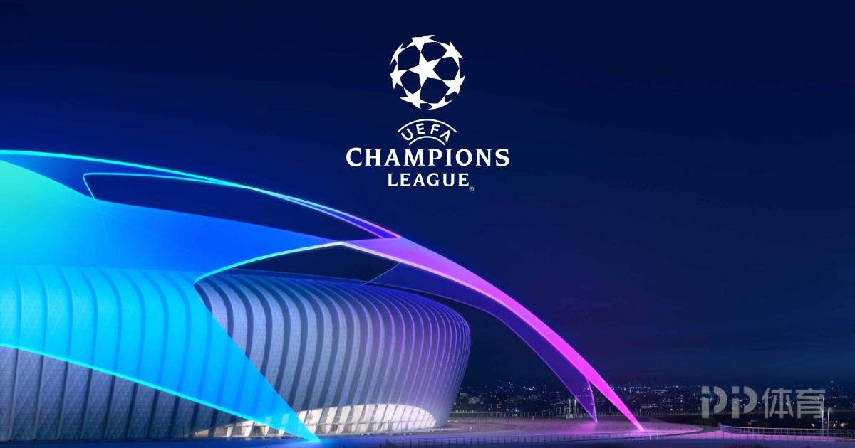 王楚钦的发 王楚钦的发